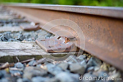 Closeup of railroad spikes and ties Stock Photo