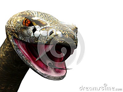 Closeup of rattlesnake ready to strike Stock Photo