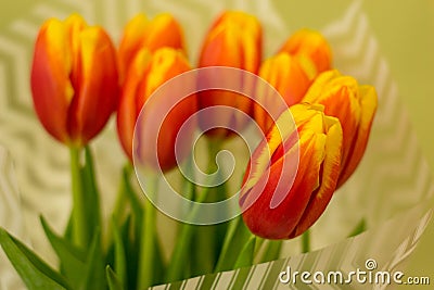 Closeup red tulip on blurred bouquet background in wrapper. Concept of gift, spring, freshness, tenderness, love, relations. Stock Photo