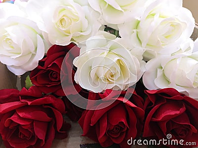 red and white rose Love Valentine Day by handmade Stock Photo