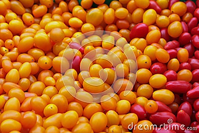 Closeup of Red and Yellow Jellybean Tomatoes Stock Photo