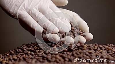 Closeup roasted coffee grains in hand. Agriculturist checking harvest quality. Stock Photo