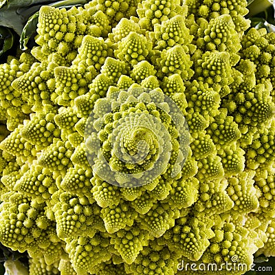 Closeup of Romanesco broccoli Stock Photo