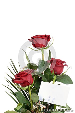 Closeup rose bouquet Stock Photo