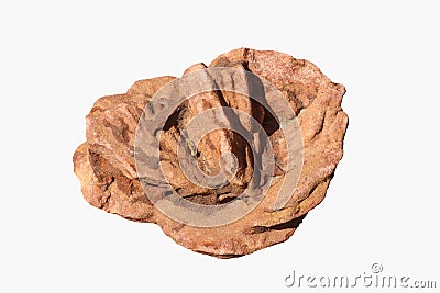 Closeup of rose rock barite rock crystal - Oklahoma State Rock isolated on white Stock Photo