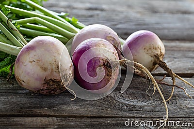 Closeup of rustic organic turnips for sustainable vegetarian farming Stock Photo