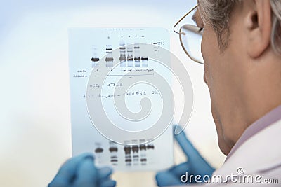 Closeup Of Scientist Looking At DNA Test Results Stock Photo
