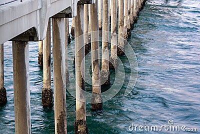 Closeup of the Sea and Barnacles Growing On Pilings of the Huntington Beach Pier Stock Photo