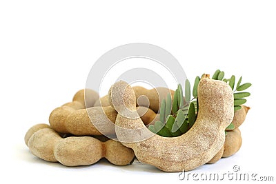 Closeup set of brown sweet ripe tamarinds with green left Stock Photo