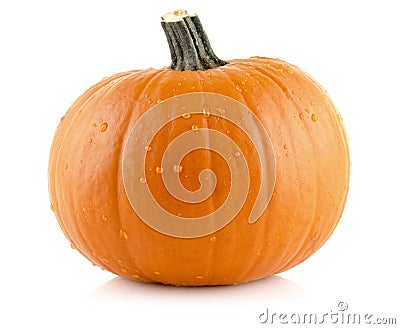 Closeup shot of beaded pumpkin isolated on white Stock Photo