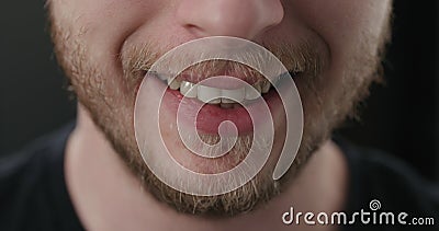 Closeup shot of bearded man mouth smile Stock Photo