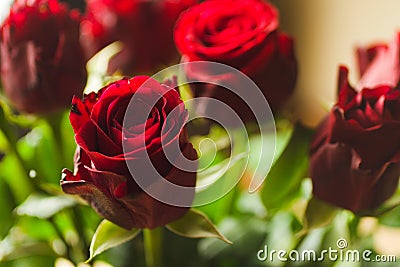 Closeup shot of a beautiful flower composition with red roses on a blurred background Stock Photo