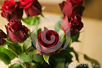 Closeup shot of a beautiful flower composition with red roses on a blurred background Stock Photo