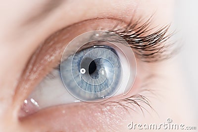 Closeup shot of a beautiful woman eye Stock Photo