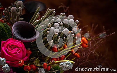 Closeup shot of a bouquet with brunia and black kalla Stock Photo