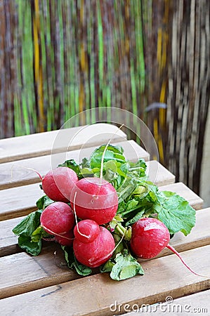 Closeup shot of a bundle of fresh red radish on a wooden surface Stock Photo