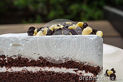 Closeup shot of chocolate chips on chocolate cake. Stock Photo