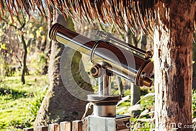 Closeup shot of a city telescope under a tree Stock Photo