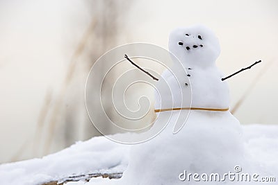 Closeup shot of a cute small snowman with rock eyes, buttons and twig arms Stock Photo