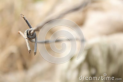 Closeup shot of the detail of a barbed wire with a blurred background Stock Photo