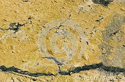 Green algal bloom in water. Surface cracks from fluid flow. Sludge. No person Stock Photo