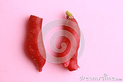 Closeup shot of a fresh red radish isolated on a pink background Stock Photo