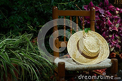 Closeup shot of a hat on a decorative chair on a background of plants Stock Photo