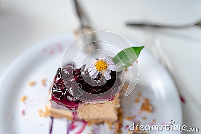 Closeup shot of little sweet decorative Blueberry Cheesecake. Plate with Blueberry Cheese Tart. Berries on top Stock Photo