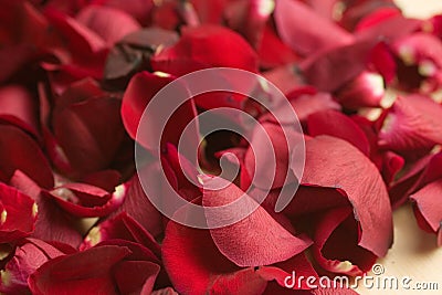 Closeup shot of a lot of rose petals - great for a romantic background Stock Photo