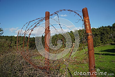 Closeup shot of a metal steel barbed wire. Metallic thorns in the countryside forest Stock Photo
