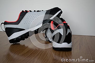Closeup shot of a pair of sport shoes on a wooden surface Stock Photo