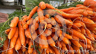 Closeup shot of a pile of carrots Stock Photo