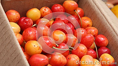 Closeup shot of a pile of cherries at a market Stock Photo