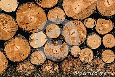 Closeup shot of a pile of lumber Stock Photo