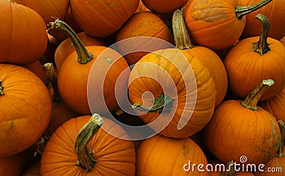 Closeup shot of a pile of pumpkins Stock Photo