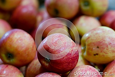 Closeup shot of a pile of shiny red apples Stock Photo