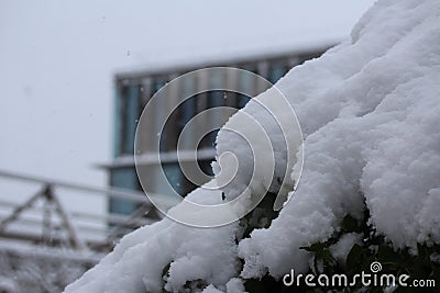 Closeup shot of a pile of snow on a blurred background Stock Photo