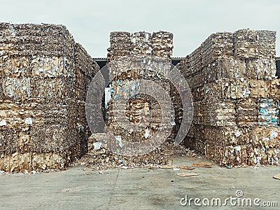 Closeup shot of piles of pressed waste paper bales in the yard, waste paper recycling concept Stock Photo