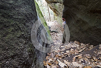 Closeup shot of rough rugged rock formations in a forest with fallen dry leaves on a ground Stock Photo