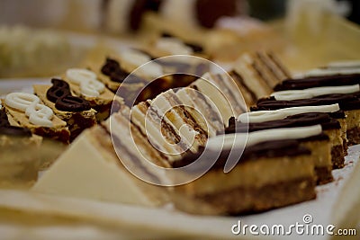 Closeup shot of slices of chocolate dessert bars on a plate Stock Photo