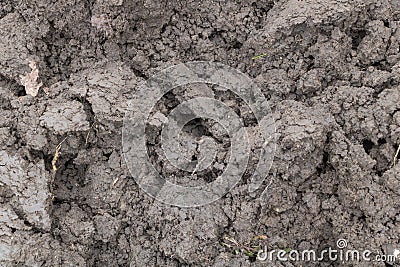 A closeup shot of the soil texture, showcasing its intricate details and textures Stock Photo