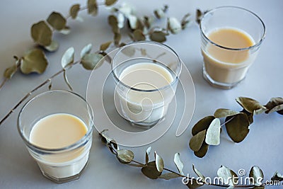 Closeup shot of three glasses of milk next to the green branches of a plant Stock Photo