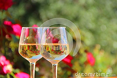 Closeup shot of two champaign glasses on a blurred natural background Stock Photo