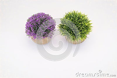 Closeup shot of two green and purple small artificial potted plants isolated on a white background Stock Photo