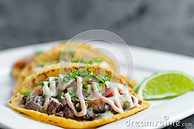Closeup shot of a white plate with delicious Honduran baleadas Stock Photo