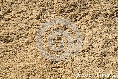 Closeup shot of wood shavings or sawdust after cutting wooden logs Stock Photo