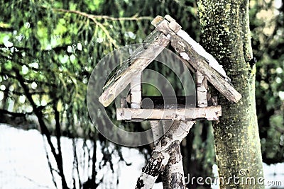 Closeup shot of a wooden house attached to a tree Stock Photo