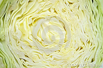 Closeup of sliced cabbage Stock Photo