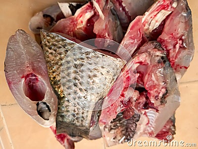 Closeup sloced of parrot fish/nila fish, ready to cook Stock Photo