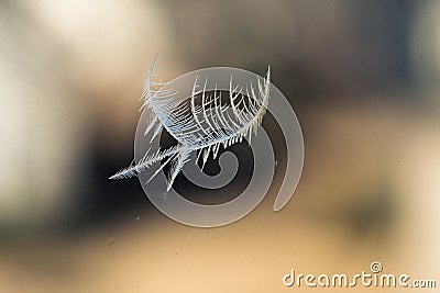 Closeup of a snowflake frozen on a blurry window Stock Photo